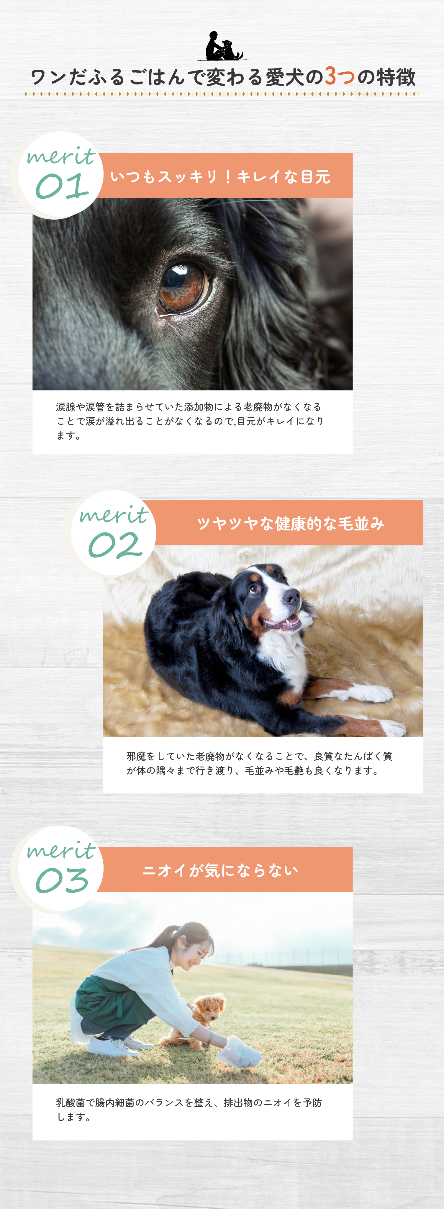 Pure Pet Foods PC版デザイン3
