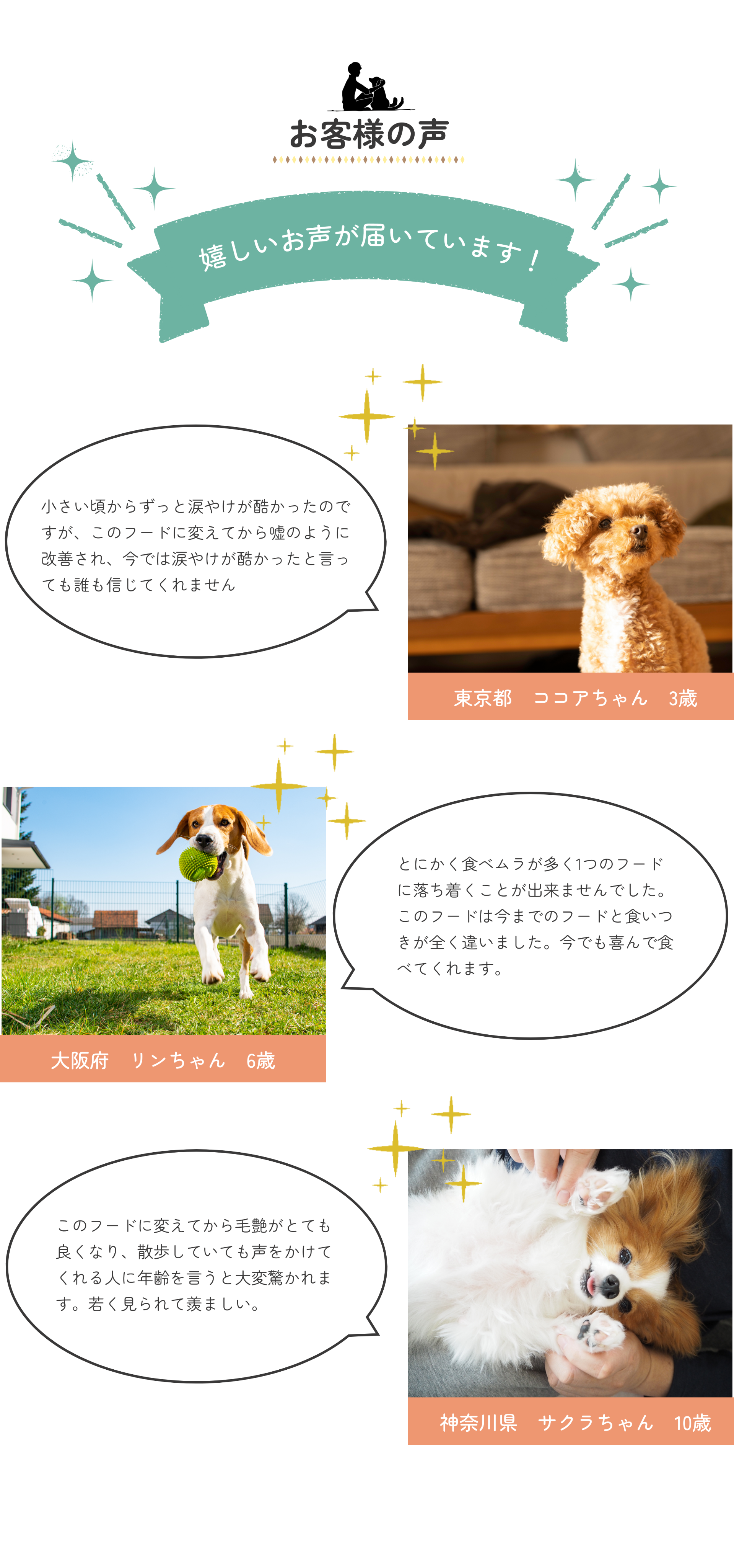 Pure Pet Foods PC版デザイン4
