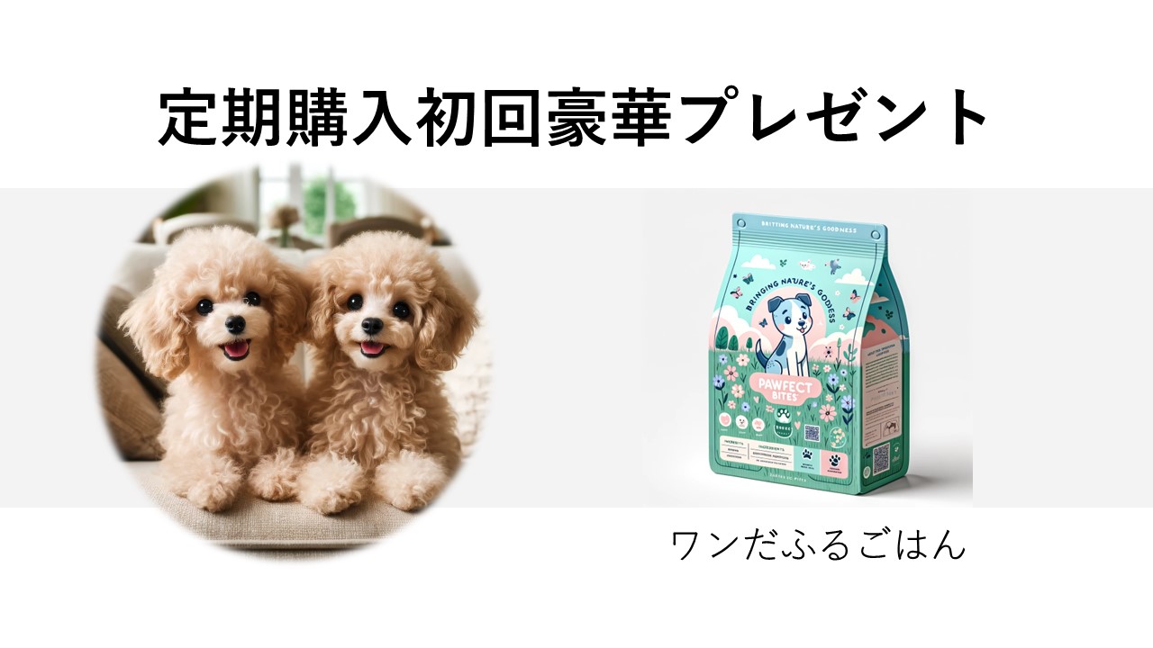 企画書スライド3