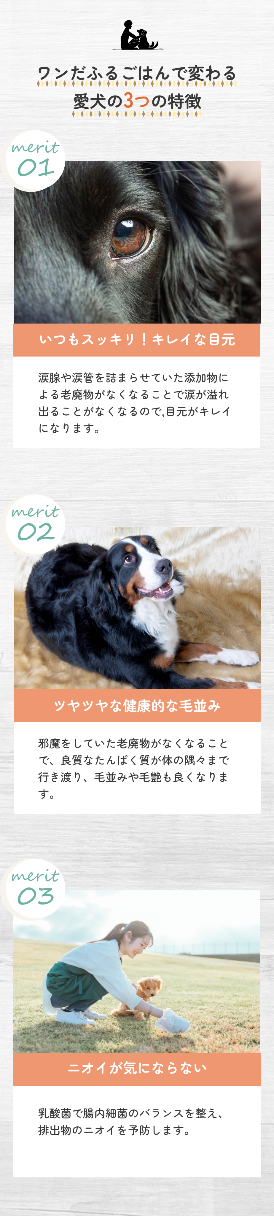 Pure Pet Foods スマホ版デザイン3