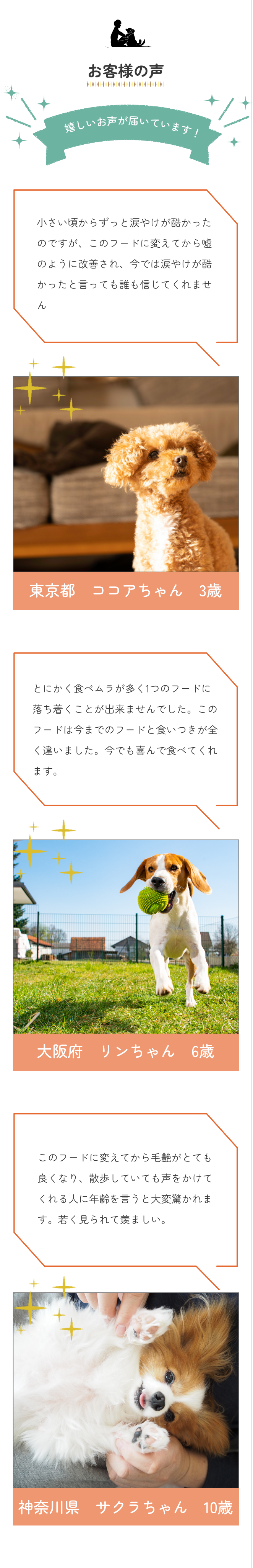Pure Pet Foods スマホ版デザイン4