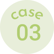 case 03