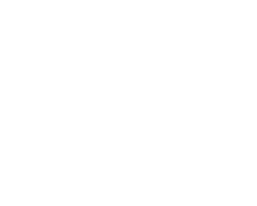 タンポポの綿毛